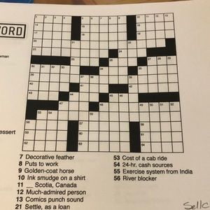 Meet your Posher, Judy